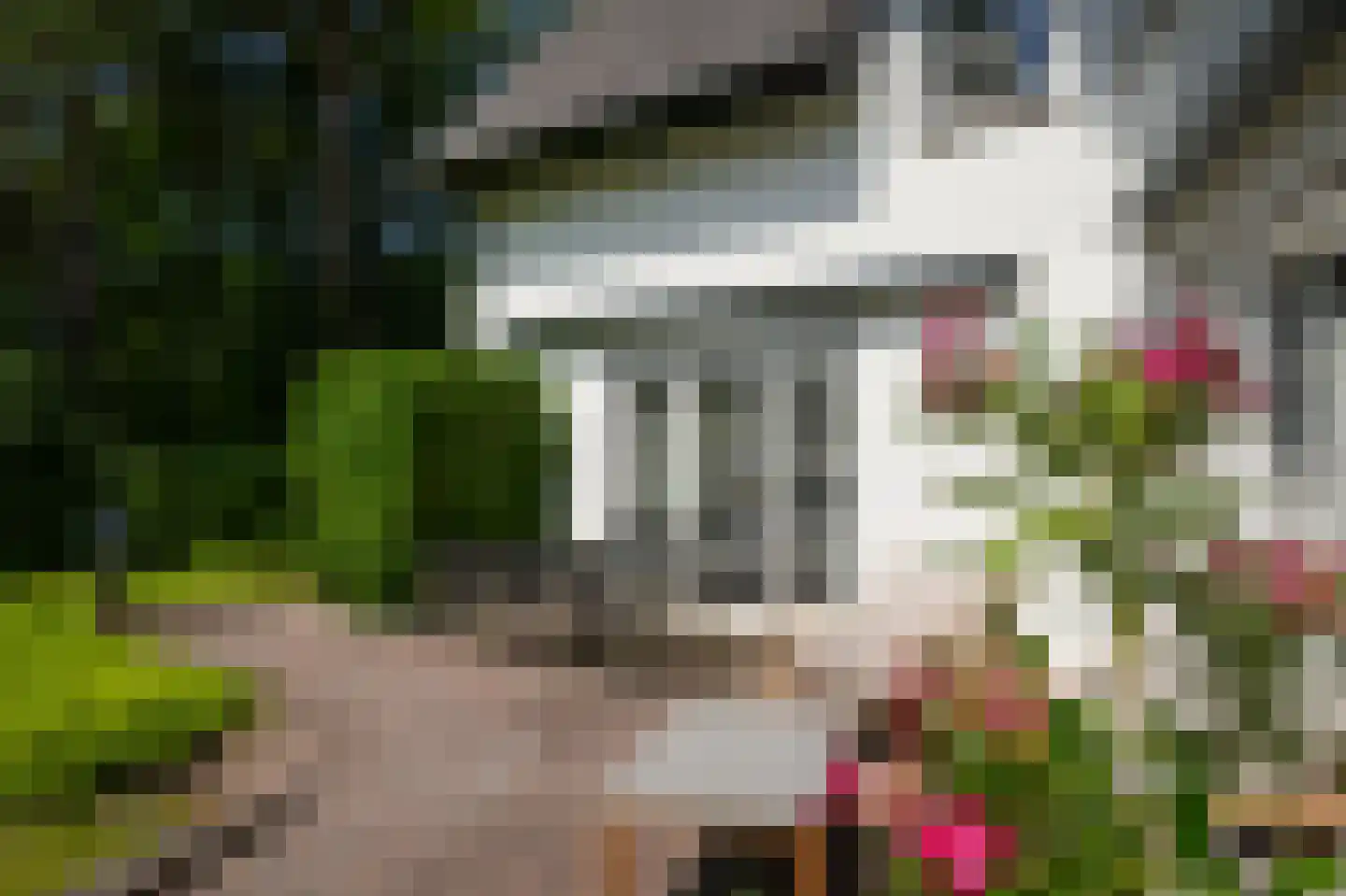Vogelkerslaan 8 Vught thumbnail 50