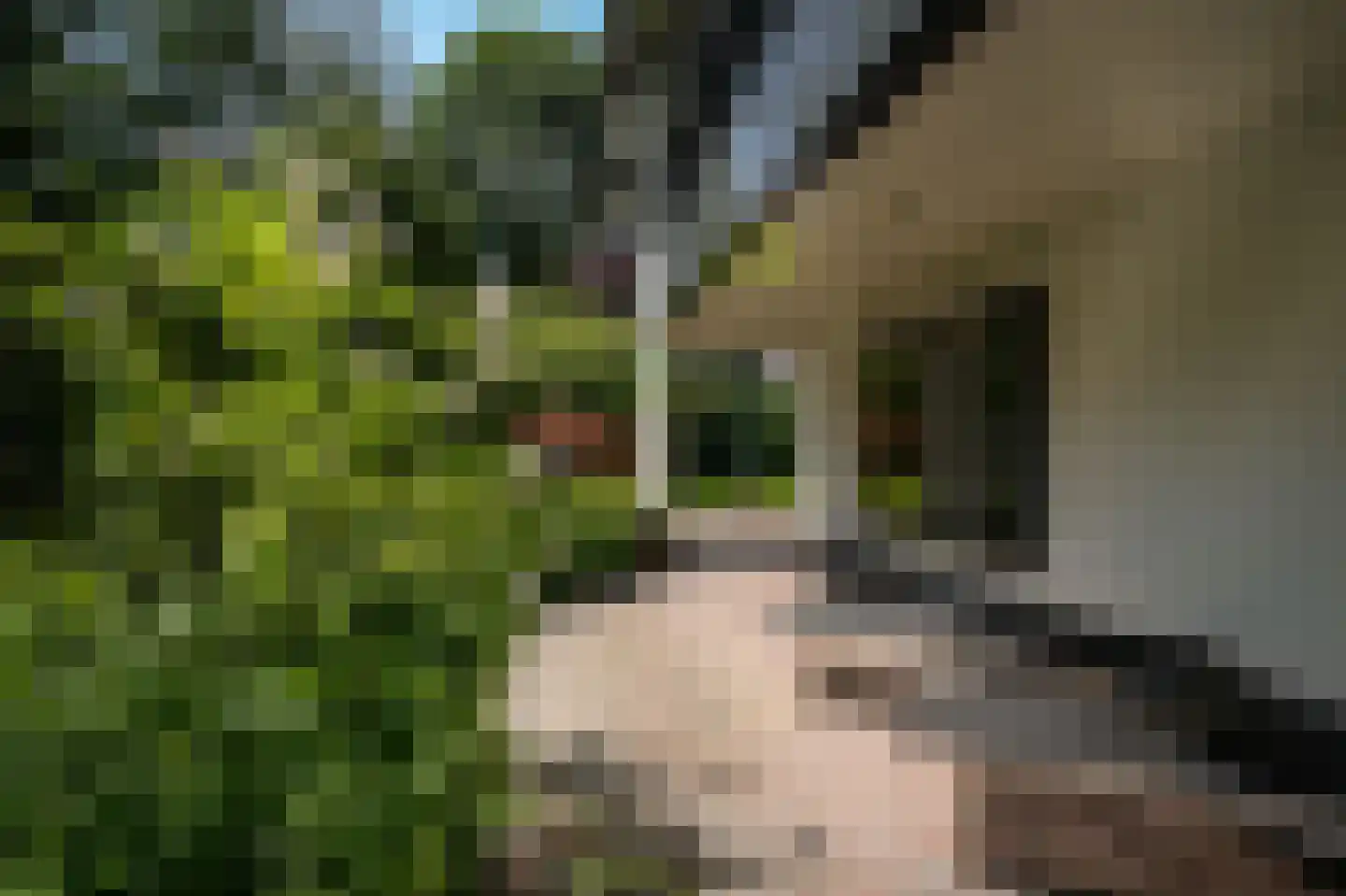 Vogelkerslaan 8 Vught thumbnail 51