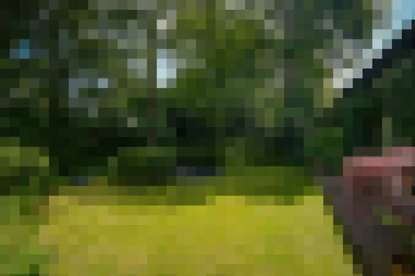 Vogelkerslaan 8 Vught thumbnail 54