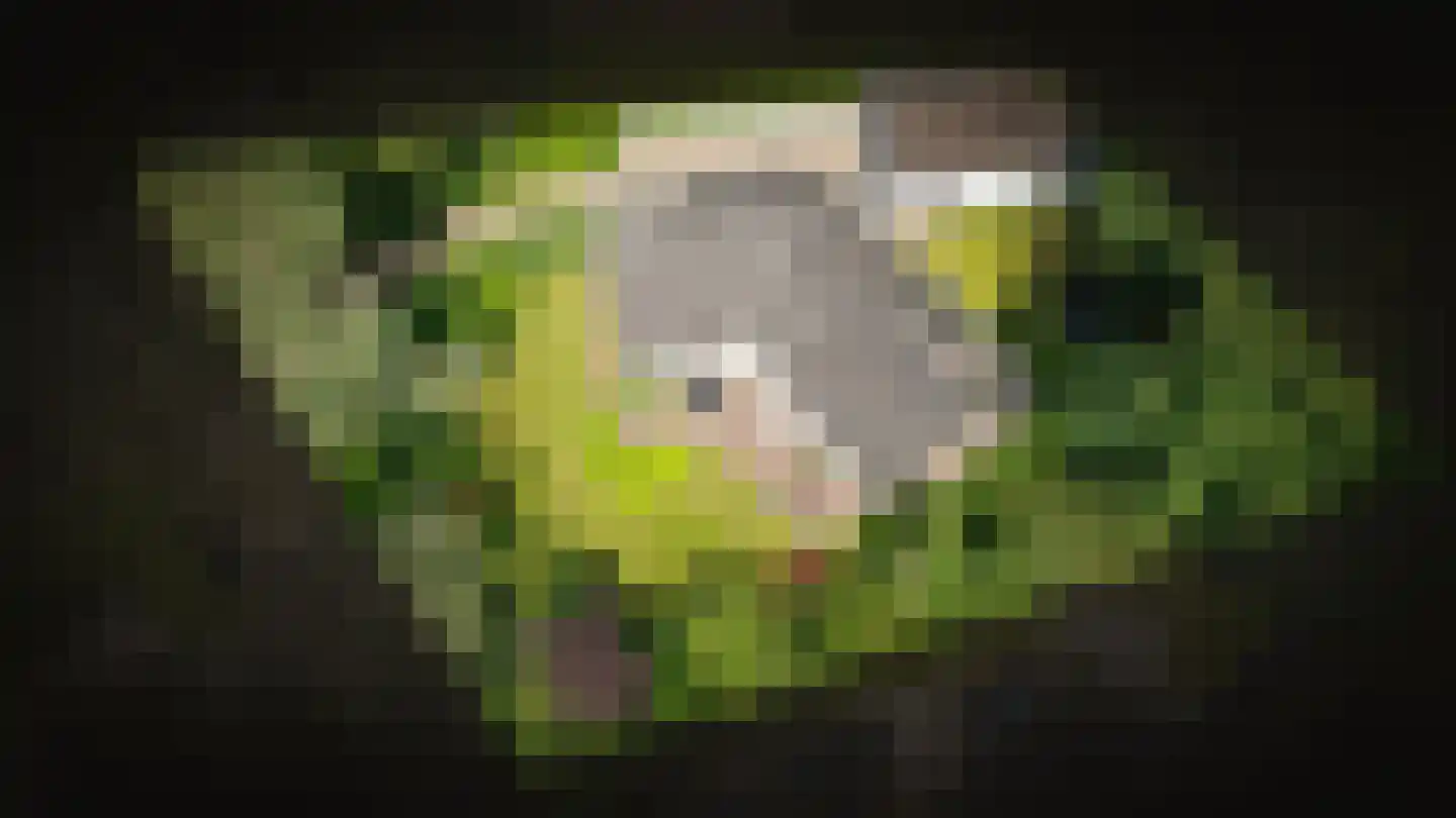 Vogelkerslaan 8 Vught thumbnail 60