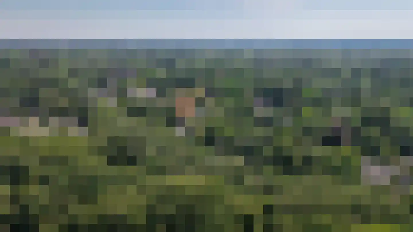 Vogelkerslaan 8 Vught thumbnail 61