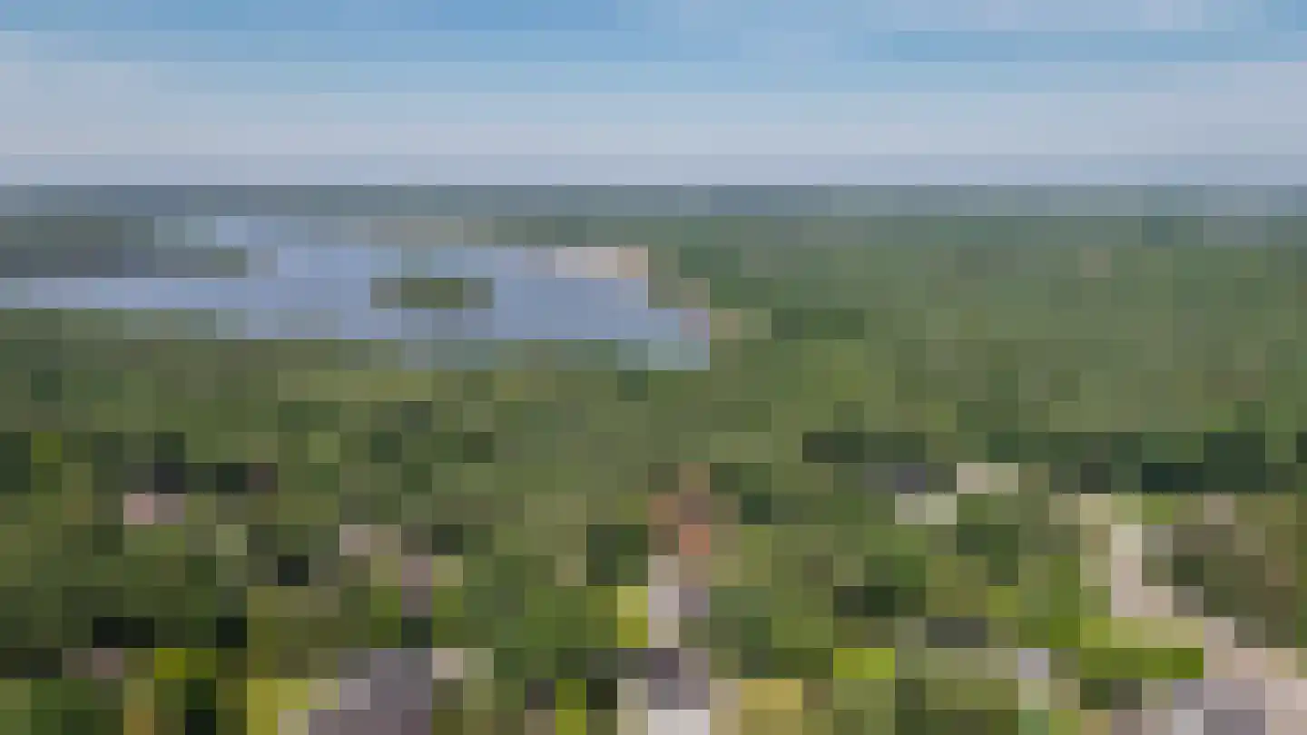 Vogelkerslaan 8 Vught thumbnail 62