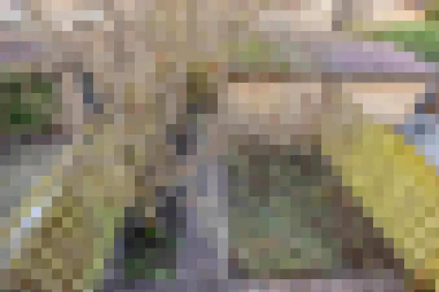 Vogelkersoord 28 Diemen thumbnail 21