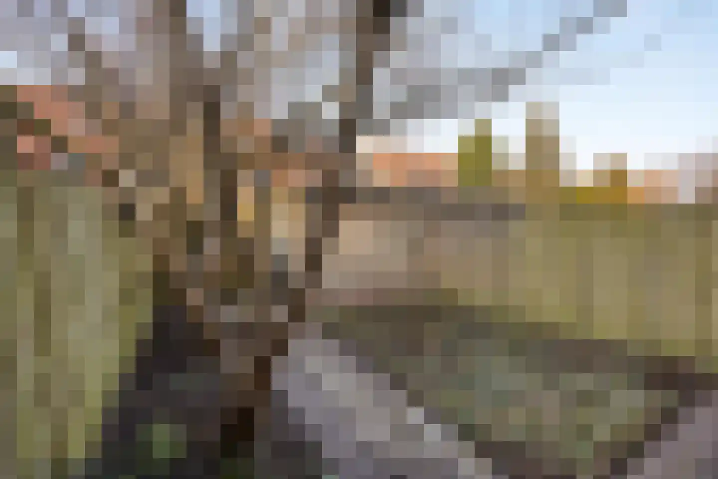 Vogelkersoord 28 Diemen thumbnail 22