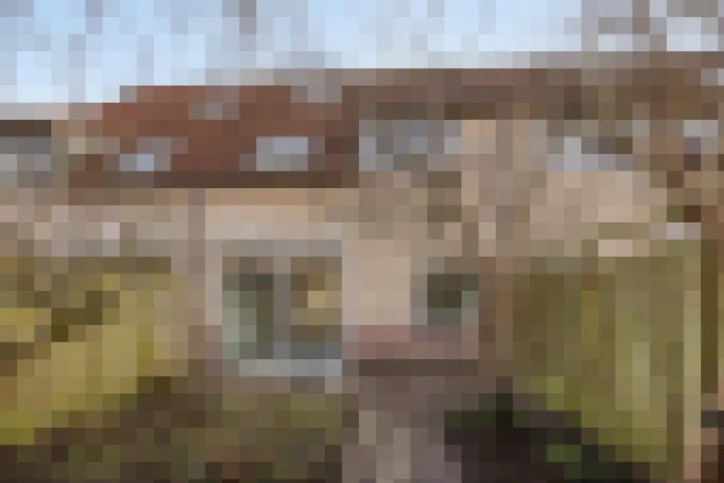 Vogelkersoord 28 Diemen thumbnail 23
