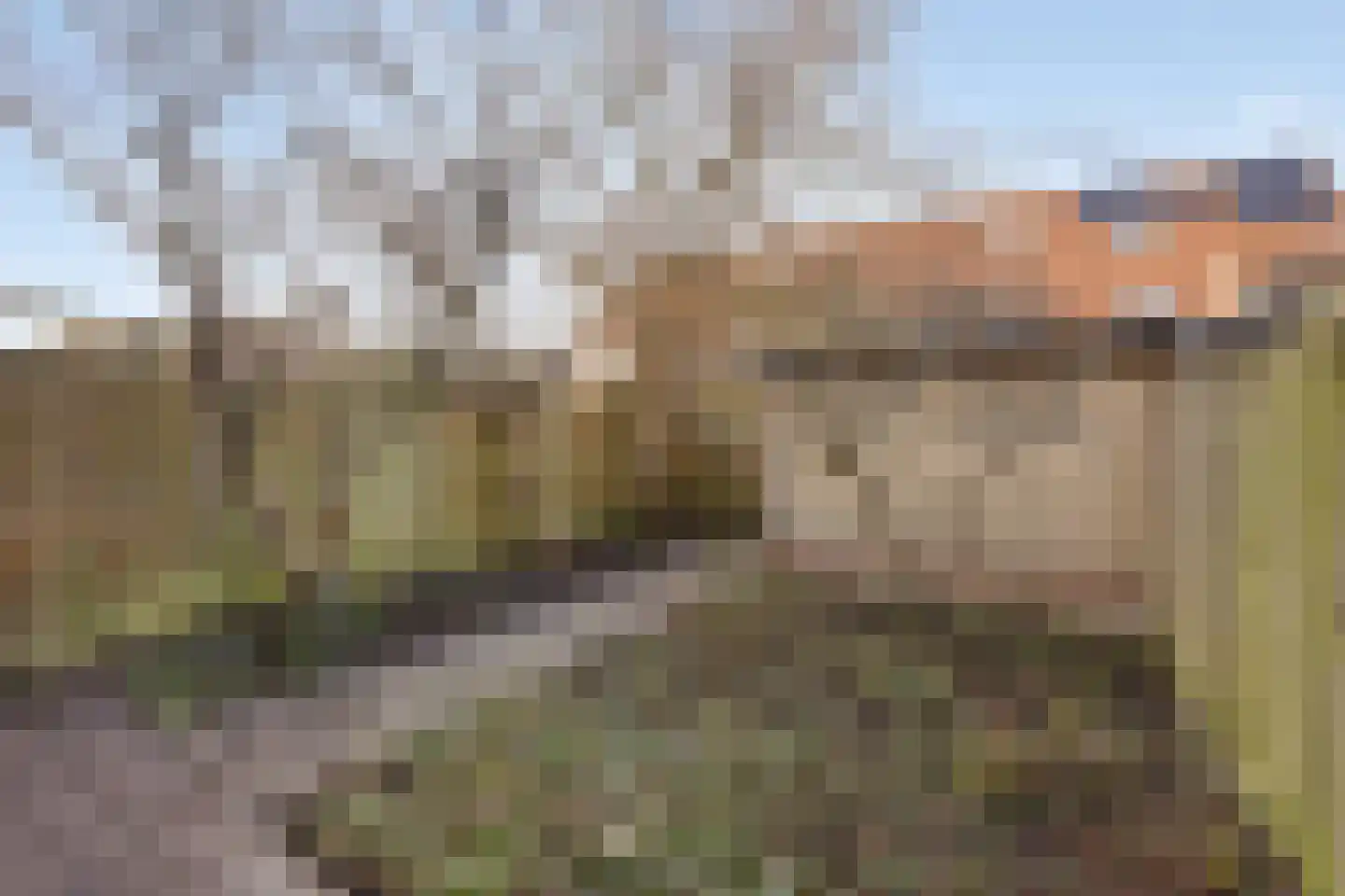 Vogelkersoord 28 Diemen thumbnail 4