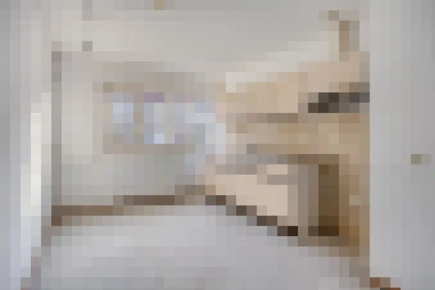 Vogelkersoord 28 Diemen thumbnail 8