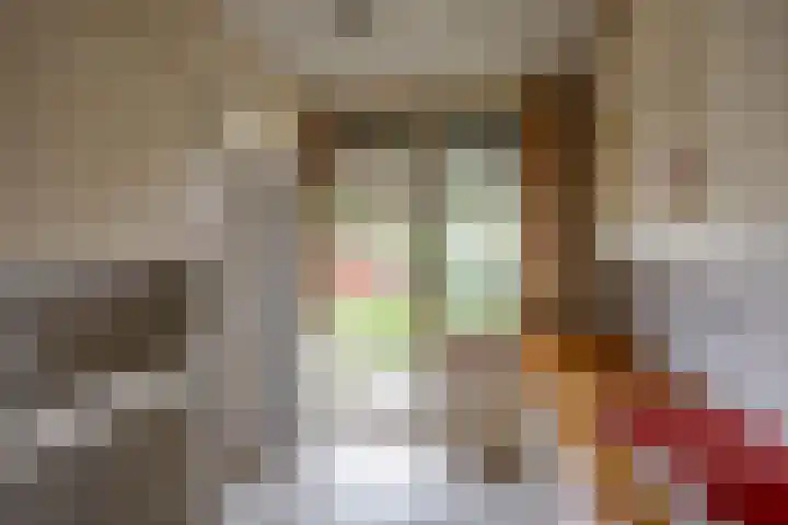 Vogelkersstraat 13 Groningen thumbnail 15
