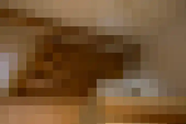 Vogelkersstraat 13 Groningen thumbnail 20