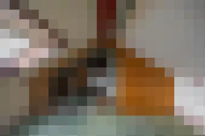 Vogelkersstraat 13 Groningen thumbnail 32