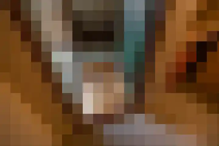 Vogelkersstraat 13 Groningen thumbnail 34