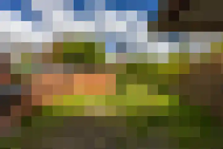 Vogelkersstraat 13 Groningen thumbnail 35