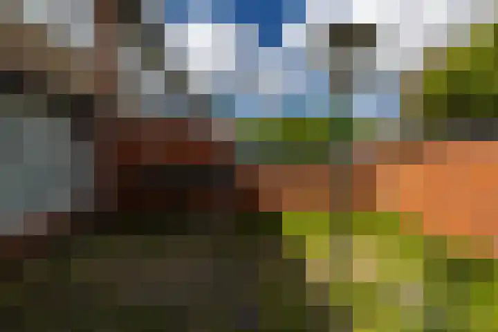 Vogelkersstraat 13 Groningen thumbnail 37