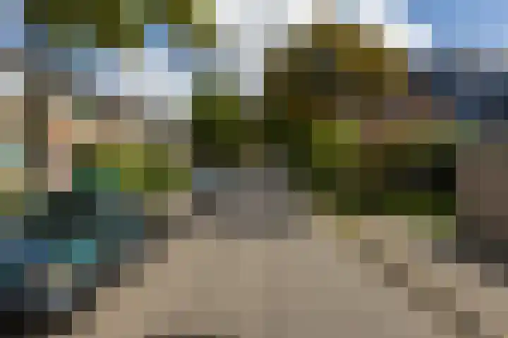 Vogelkersstraat 13 Groningen thumbnail 6