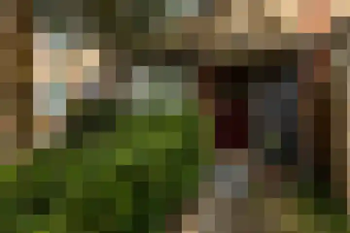 Vogelkersstraat 13 Groningen thumbnail 7