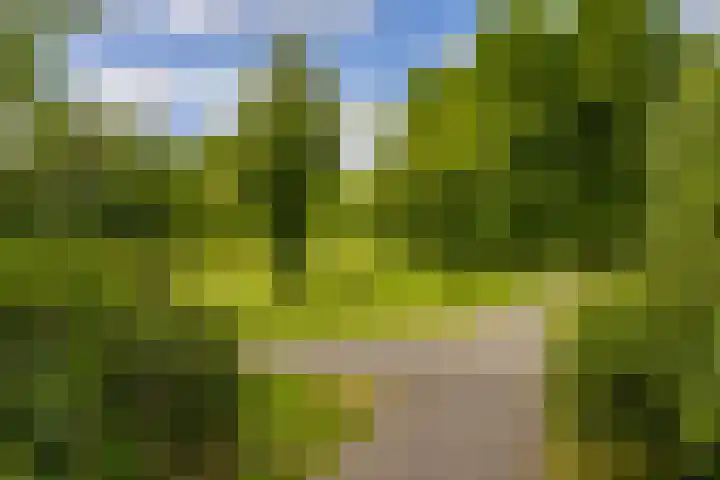 Vogelkersstraat 13 Groningen thumbnail 8