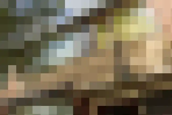 Vogelkersstraat 13 Groningen thumbnail 9