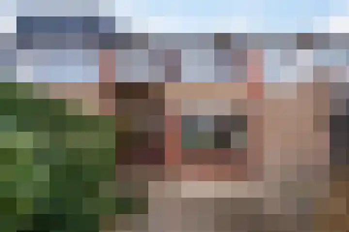 Vogelkersstraat 17 Groningen thumbnail 25
