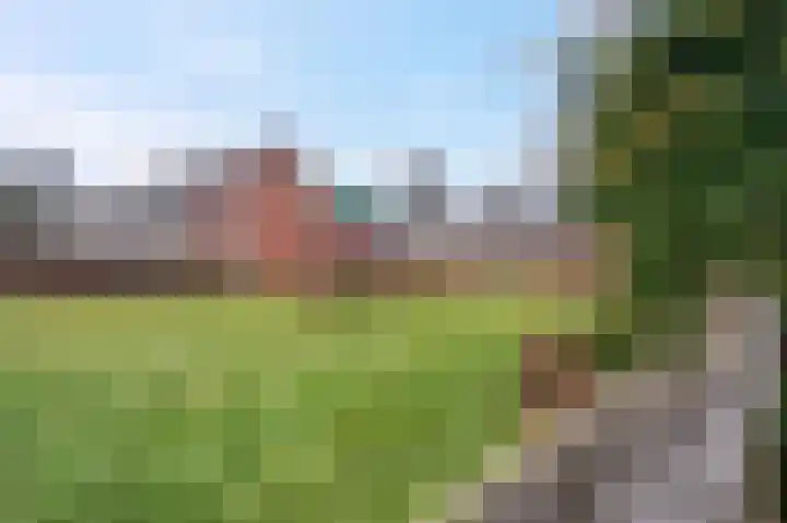 Vogelkersstraat 17 Groningen thumbnail 30
