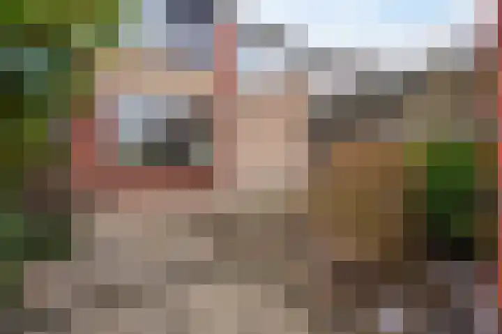 Vogelkersstraat 17 Groningen thumbnail 4