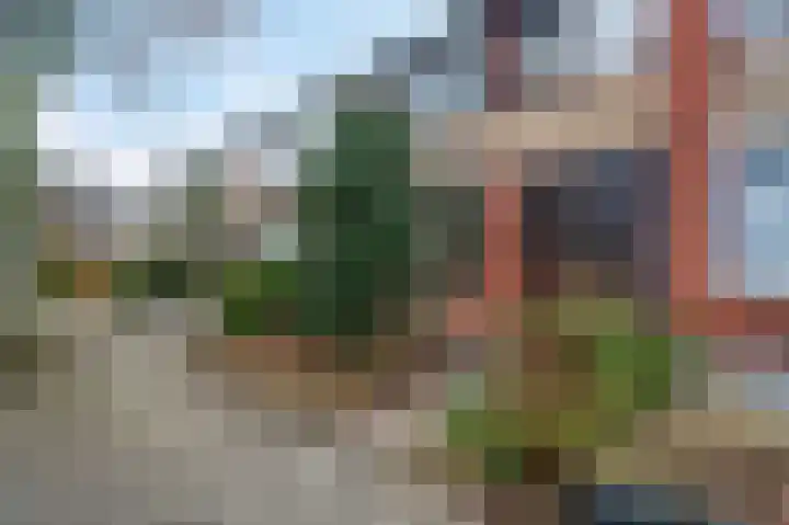 Vogelkersstraat 17 Groningen thumbnail 5