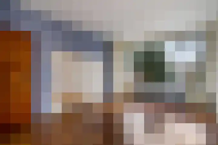 Vogelkersstraat 17 Groningen thumbnail 8
