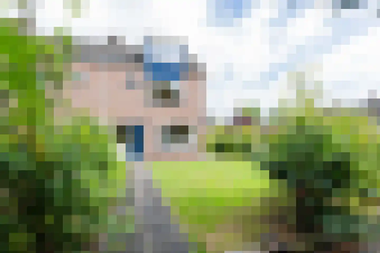 Vogelkersstraat 18 Groningen thumbnail 10