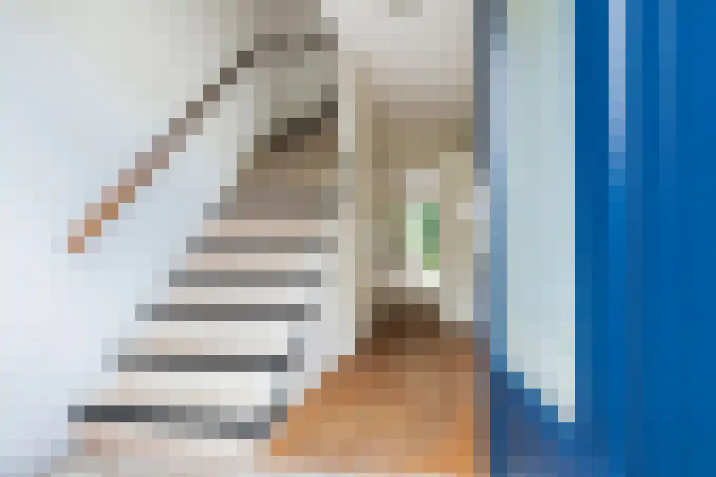 Vogelkersstraat 18 Groningen thumbnail 12