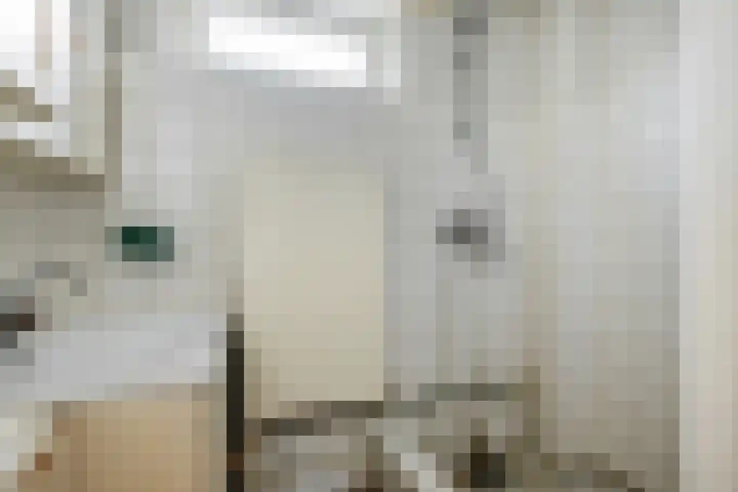 Vogelkersstraat 18 Groningen thumbnail 32
