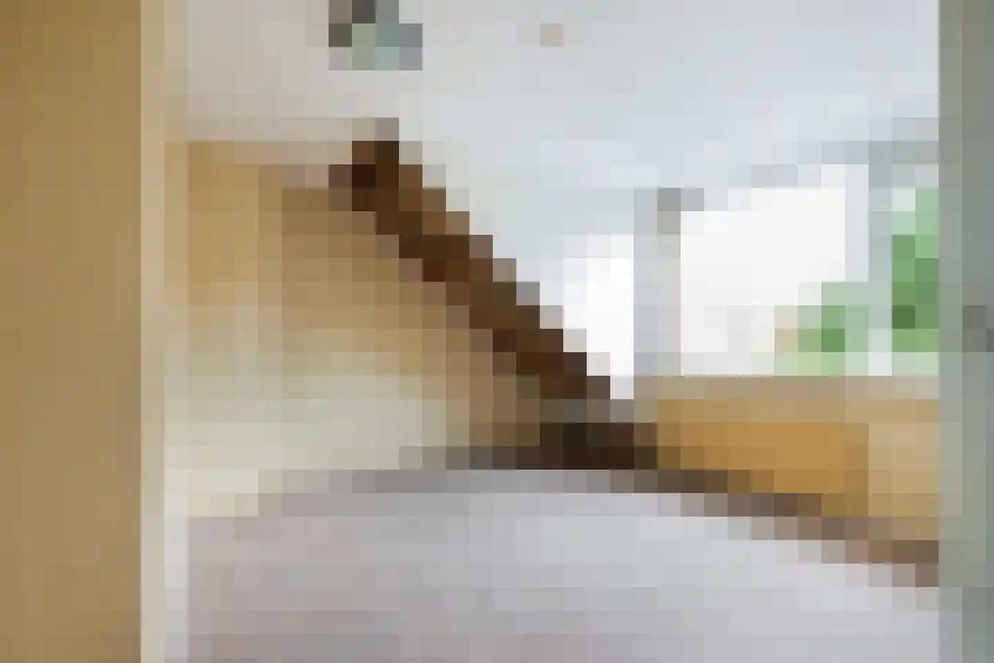 Vogelkersstraat 18 Groningen thumbnail 34