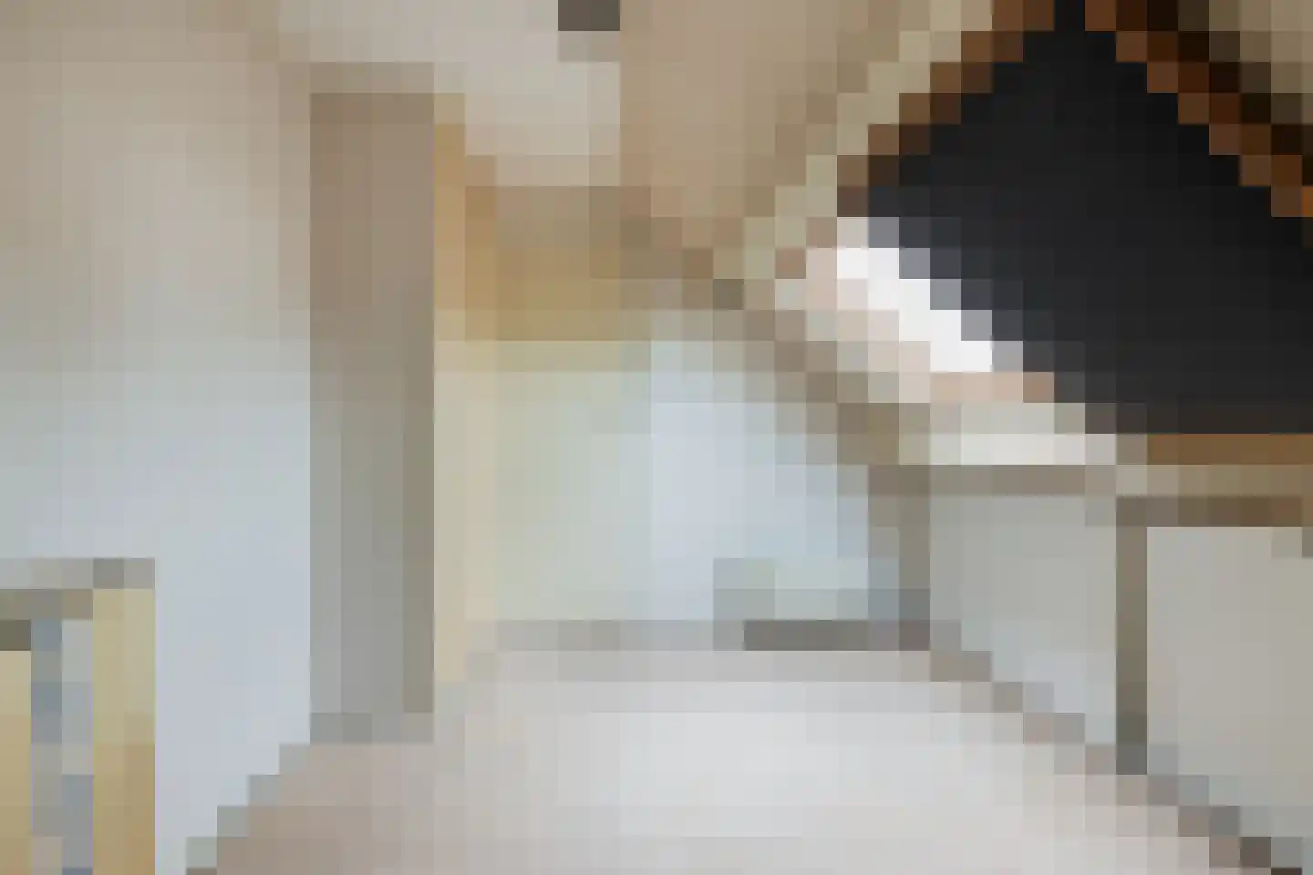 Vogelkersstraat 18 Groningen thumbnail 39