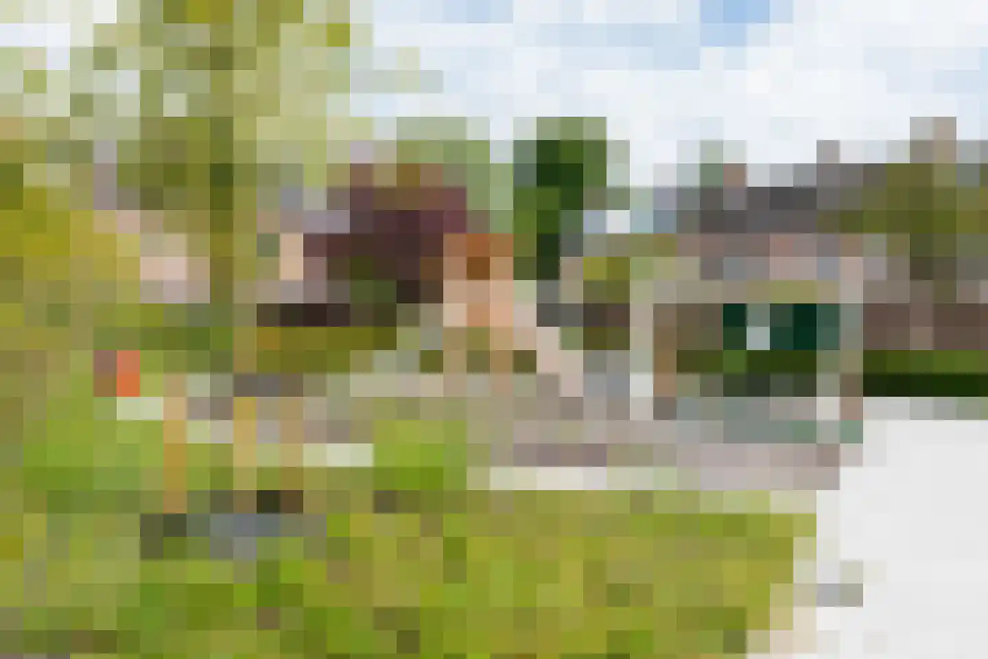 Vogelkersstraat 18 Groningen thumbnail 45