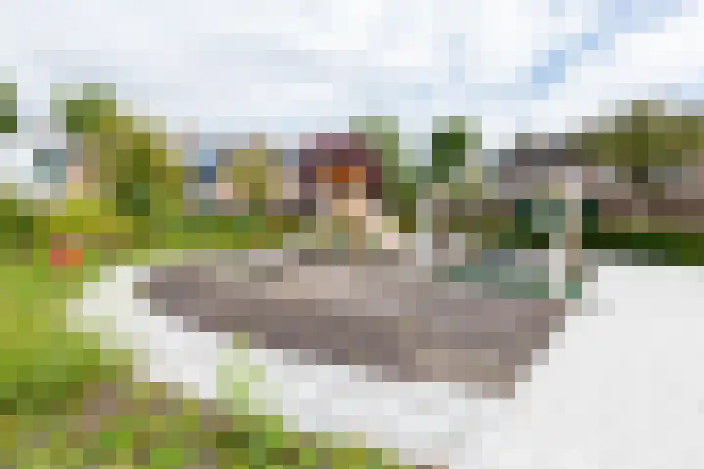 Vogelkersstraat 18 Groningen thumbnail 46