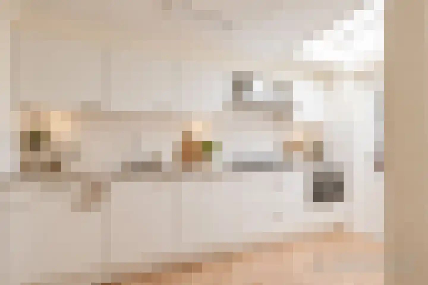 Vogelkersstraat 18 Groningen thumbnail 49