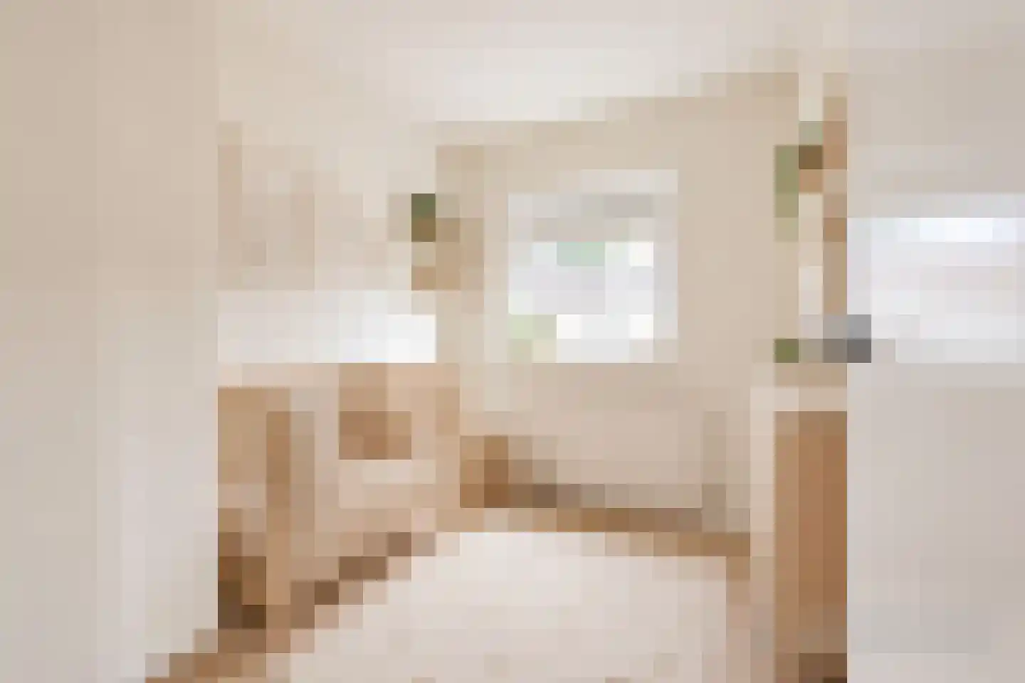 Vogelkersstraat 18 Groningen thumbnail 52