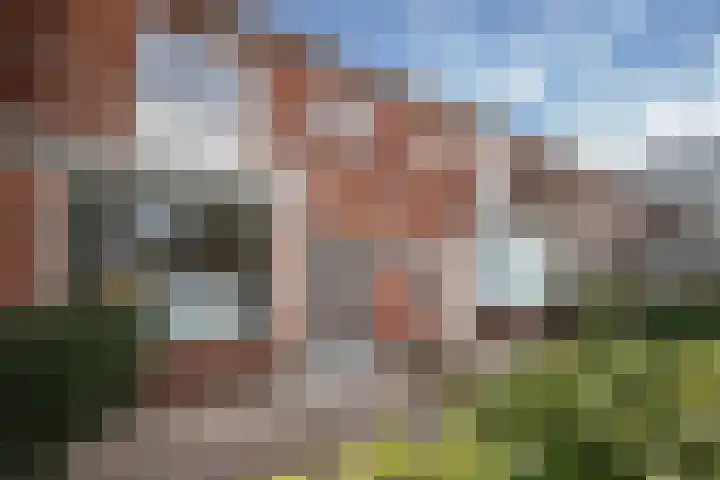 Vogelkersstraat 18 Leeuwarden thumbnail 4