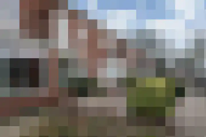 Vogelkersstraat 18 Leeuwarden thumbnail 6