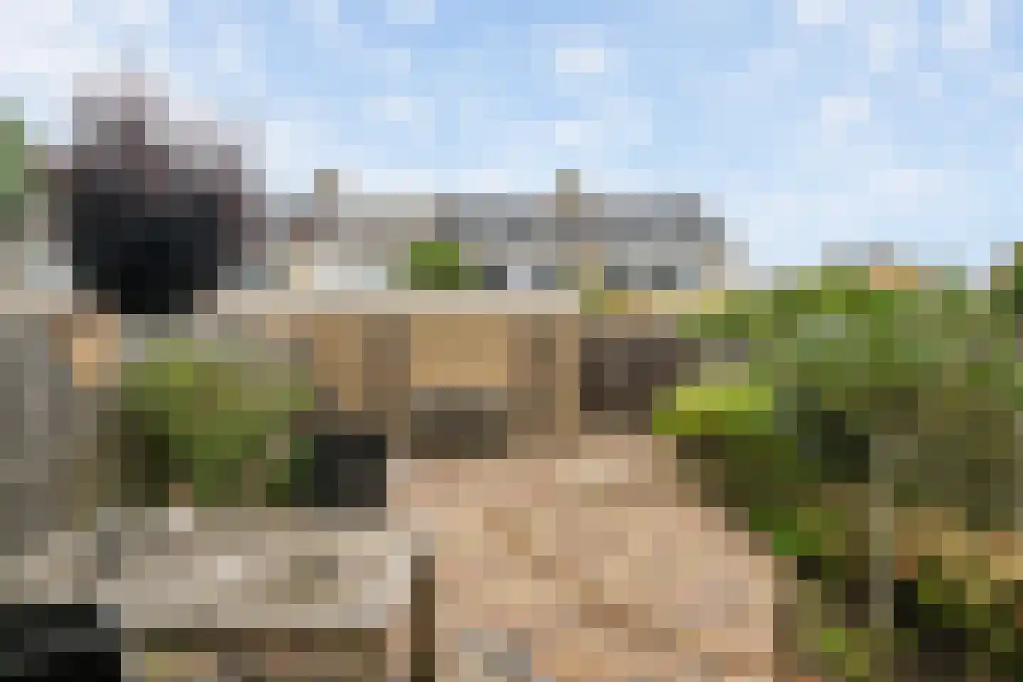 Vogelkersstraat 18 's-Gravenzande thumbnail 15