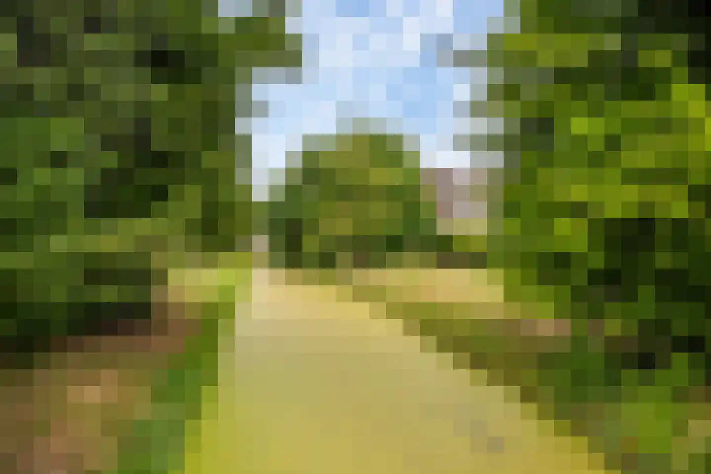 Vogelkersstraat 18 's-Gravenzande thumbnail 36