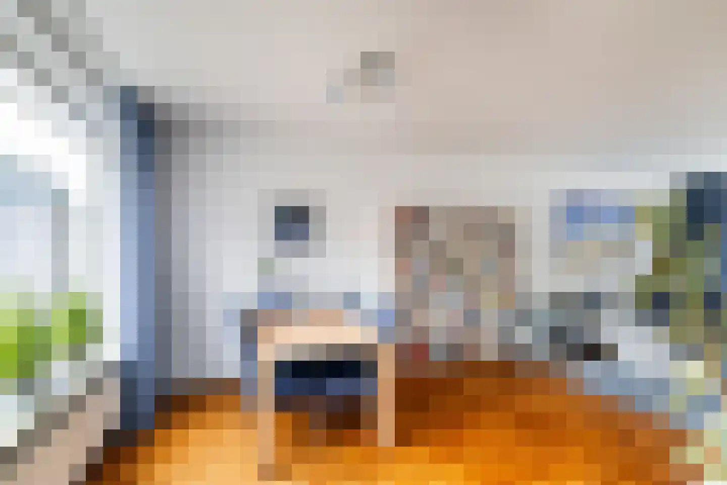 Vogelkersstraat 18 's-Gravenzande thumbnail 8
