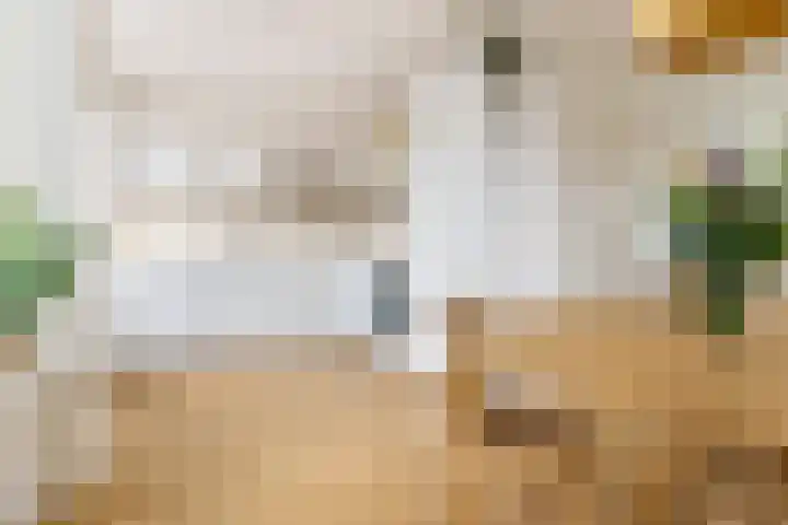 Vogelkersstraat 21 Groningen thumbnail 14