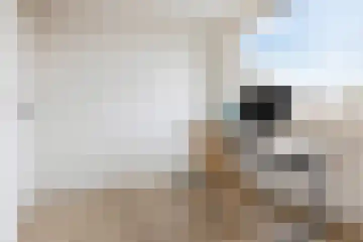 Vogelkersstraat 21 Groningen thumbnail 24