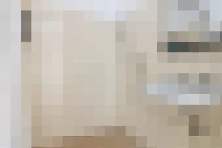 Vogelkersstraat 21 Groningen thumbnail 26