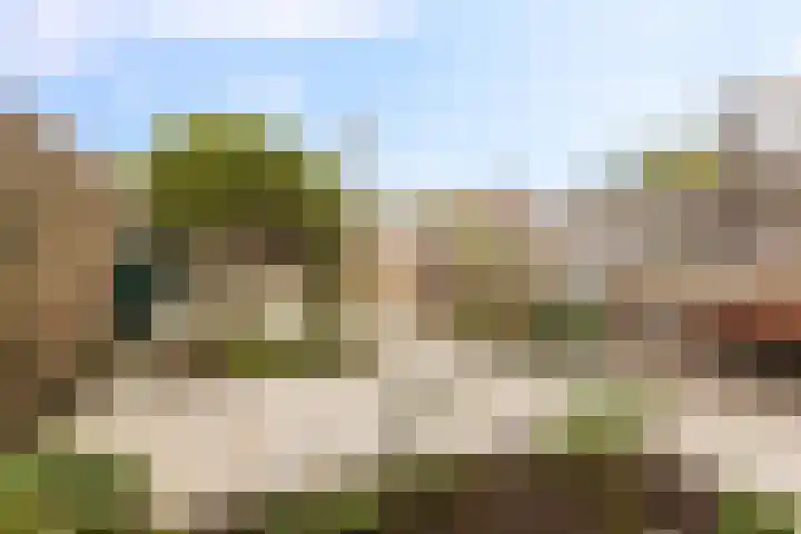 Vogelkersstraat 21 Groningen thumbnail 32