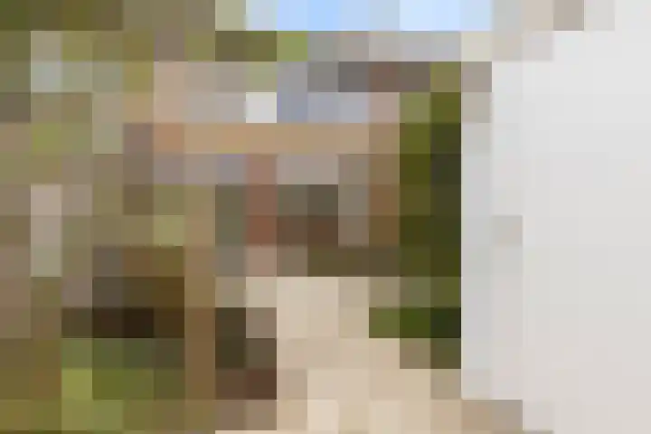 Vogelkersstraat 21 Groningen thumbnail 35