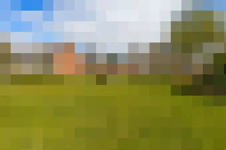Vogelkersstraat 21 Groningen thumbnail 36
