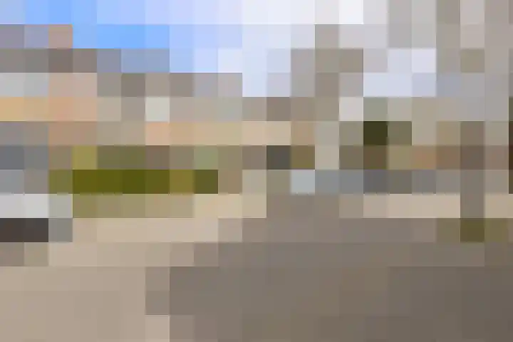 Vogelkersstraat 21 Groningen thumbnail 37