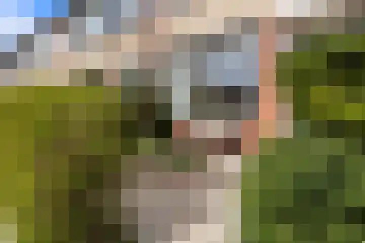 Vogelkersstraat 21 Groningen thumbnail 5