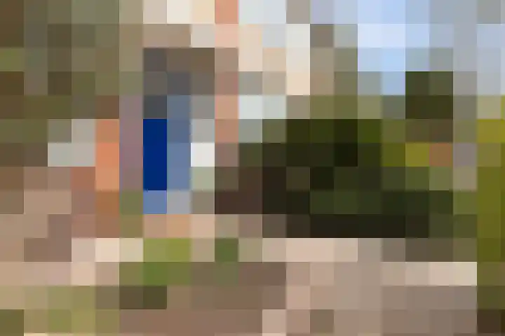Vogelkersstraat 21 Groningen thumbnail 6