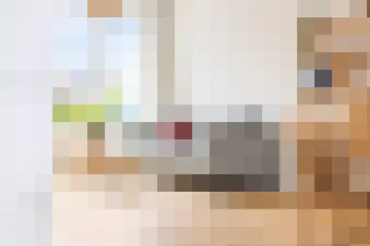 Vogelkersstraat 21 Groningen thumbnail 8